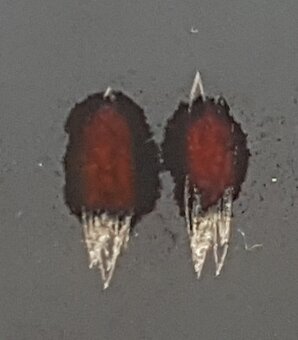 Investičné striebro –čajové lyžičky–rok 1860 -24,5g - 8