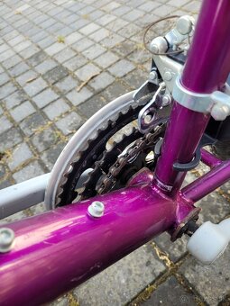 Bicykel DEMA - 8
