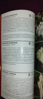 1000 slovenských a českých húb - 8