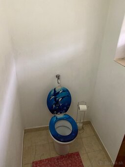 Predám chatu s vinohradom  TOKAJ - 8