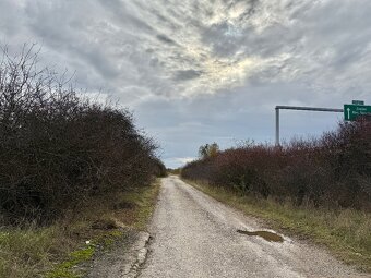 Predaj pozemok katastrálne územie Gemer 8689 m2 - 8