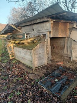 Darujem prístrešok pre zvieratá - 8