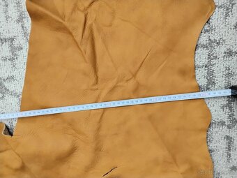 Čalunicka koža - 8