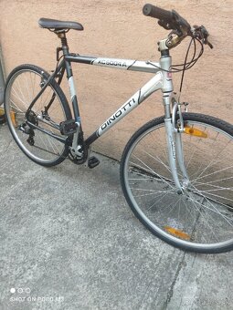 Bicykel horský dinotti XC 5004 - 8