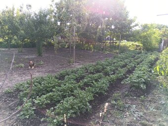 Pozemok 924m2+ garaž 59m2 Medveďov len 60 km od centra BA - 8