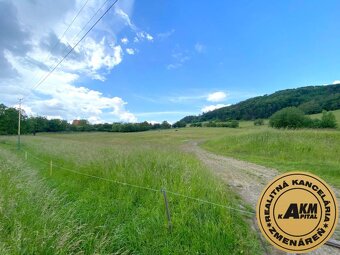 Pozemok na predaj, 13 237 m2  Slatinské Lazy, okres Detva - 8