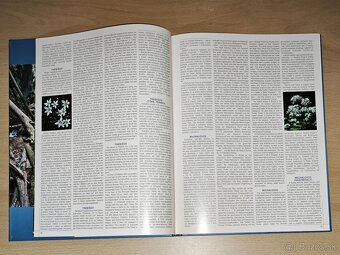 Košický kraj - Alexander Jiroušek - 8