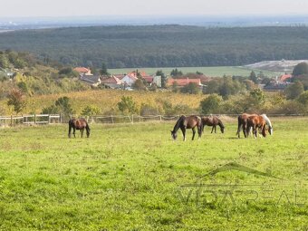 Krásny pozemok s potenciálom - 8
