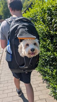 Batoh na psa KURGO - 8