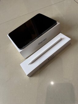 iPad mini 6 gen. + Apple pencil 2 gen. - 8