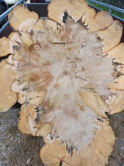 Suché koláče z Habra a Buka - 8