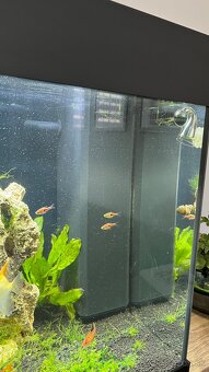 JUWEL RIO LED 180l - 8