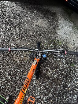 Kellys noid 70 - 8