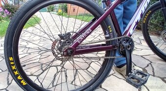CTM Dirtking Xpert 2022 - 8