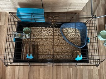 Zakrslý baranček Bob - 8