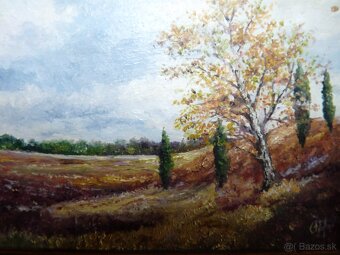 Starožitne obrazy a iné - 8