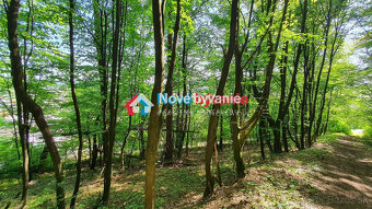 EXKLUZÍVNE. Na predaj pozemok v obci Kochanovce (N027-14-ZD - 8