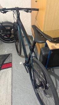 GRAVEL GIANT CARBON  8,9 kg - 8