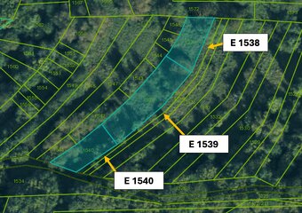 Omastiná – 9.909 m2 LESY a PASIENKY – PREDAJ - 8