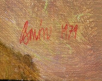 Zbierka obrazov Baron Karol - 8