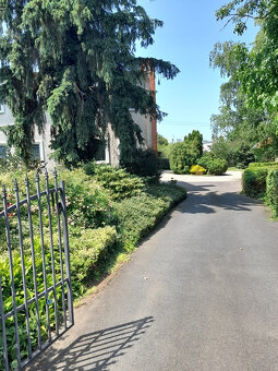 Pekný rodinný dom v Želiezovciach - ul. Kpt. Nálepku 2134 m2 - 8