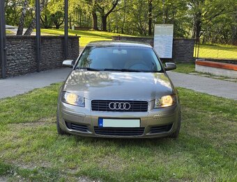 Audi A3 8P 1.9TDI 77KW BXE bez DPF - 8