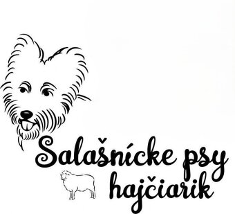 Slovenský hajčiarik šteňiatka - 8