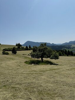 Seno, okrúhle balíky, doprava - 8