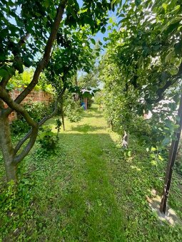 RD Preseľany, 4 izby, pozemok - 8