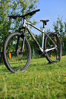 Rock Machine Manhattan 90-29 gloss silver-black. - 8