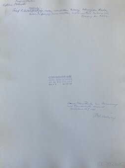 Fotografie Irena Bluhová (1904-1991) - 8