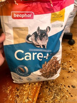 Predám Činčilu REZEROVANÉ VŠETKY - 8