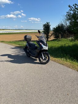 Predam Honda PCX 125 - 8