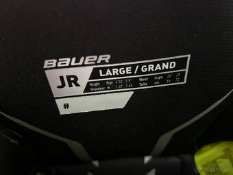 Hokejové nohavice Bauer Vapor 3x junior L - 8