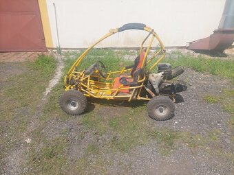 Buggy - 8
