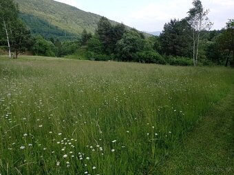 Seno pre drobné cicavce balené 1 KG - 8