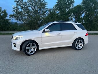 Mercedes-Benz ML350CDI BlueTEC 4MATIC - 8