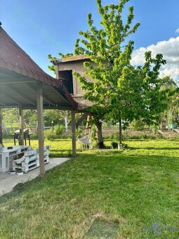 PREDAJ - Slnečná záhrada s chatkou v ZO Sĺňava, Piešťany (Dr - 8