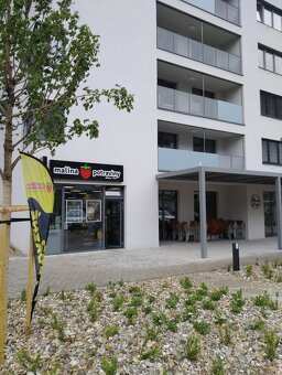 1,5 izbový byt Malé Krasnany - 8