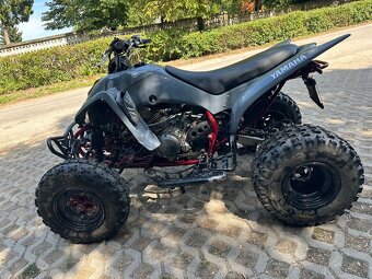 Yamaha Raptor 350 - 8