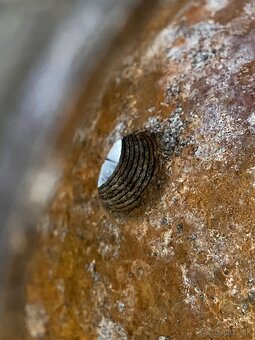 Hlava Jawa perak 250 - 8