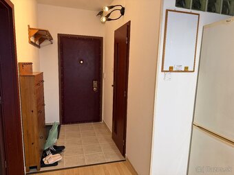 Na prenájom 1 izbový byt pri auparku - Voľný ihned - 8