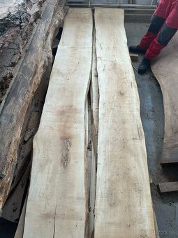 Vysušené javorové fošne, javor horský - 8