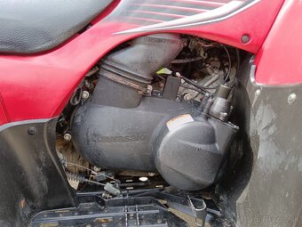 Kawasaki bruteforce 650 2006 - 8