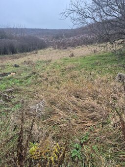 Rodinný dom, pozemok 3550 m2– Gönc (Maďarsko) - 8