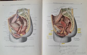 Atlas anatomie člověka I a Ii - 8