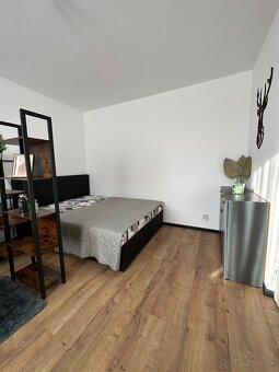 Prenájom 1izbového bytu - 8