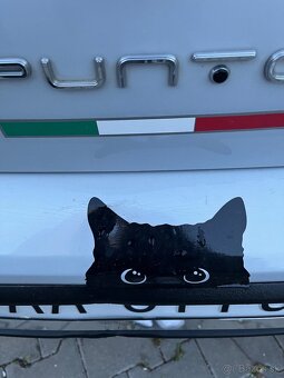 Fiat Punto - 8