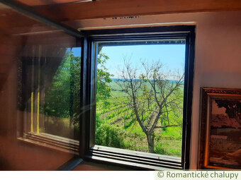 Viničný domček s altánkom, vinicou a ovocným sadom v Malýc - 8