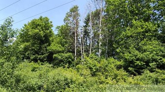 Rekreačný pozemok nad obcou Kolárovice - 8